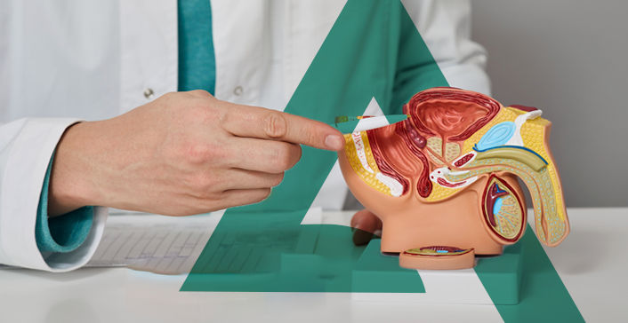 HPB: fatores de risco e prevenção